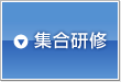 集合研修